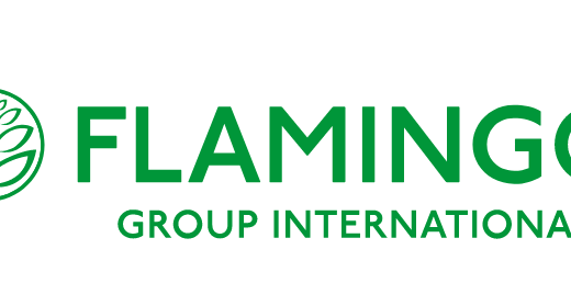 flamingo-group-logo
